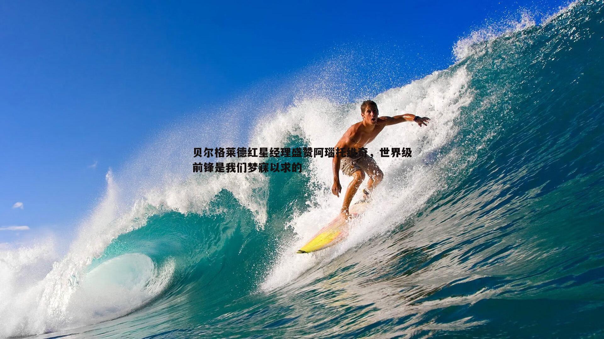 贝尔格莱德红星经理盛赞阿瑙托维奇，世界级前锋是我们梦寐以求的