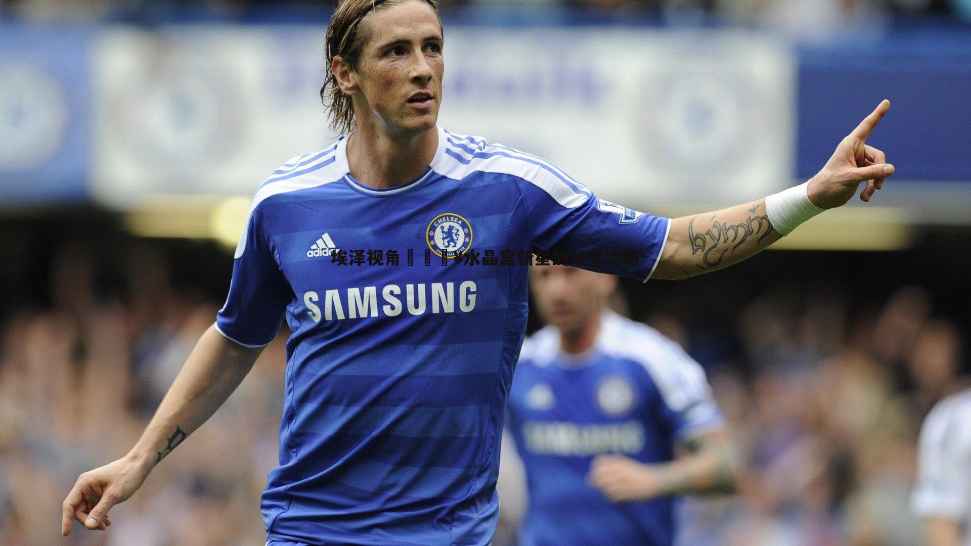 埃泽视角🎥水晶宫新星的蜕变之路